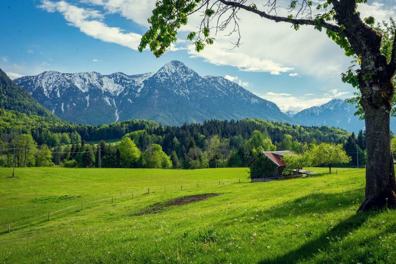Ferienwohnung Grundlsee, Willkommen In Mami'S Ferienwohnung Экстерьер фото